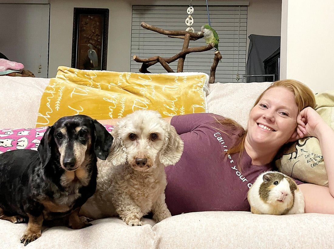 Pj’s and Paws to raise money for Cape Animal Shelter News, Sports